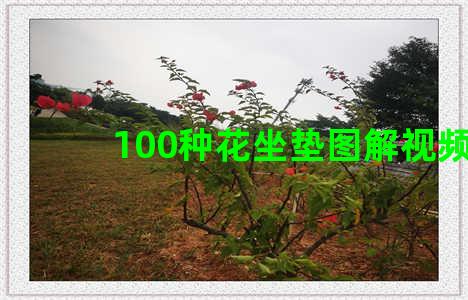 100种花坐垫图解视频