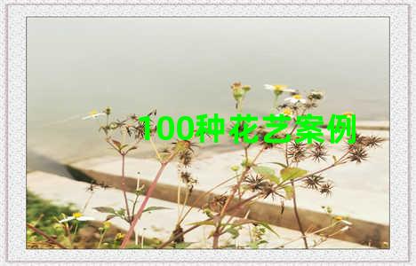 100种花艺案例