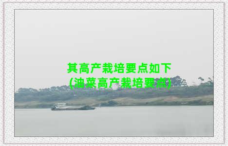 其高产栽培要点如下(油菜高产栽培要点)