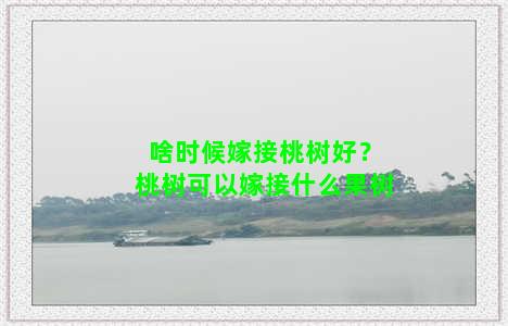 啥时候嫁接桃树好？桃树可以嫁接什么果树