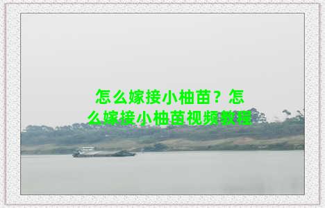 怎么嫁接小柚苗？怎么嫁接小柚苗视频教程