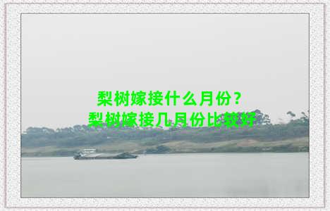 梨树嫁接什么月份？梨树嫁接几月份比较好