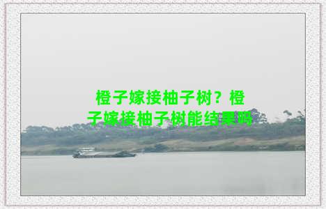 橙子嫁接柚子树？橙子嫁接柚子树能结果吗