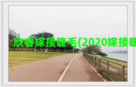 欣睿嫁接睫毛(2020嫁接睫毛新款)