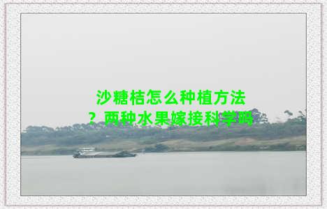 沙糖桔怎么种植方法？两种水果嫁接科学吗