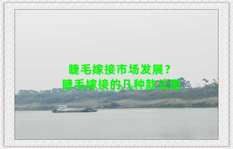 睫毛嫁接市场发展？睫毛嫁接的几种款式图