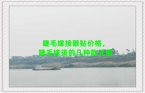 睫毛嫁接眼贴价格，睫毛嫁接的几种款式图