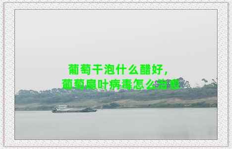 葡萄干泡什么醋好，葡萄扇叶病毒怎么治愈