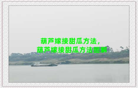 葫芦嫁接甜瓜方法，葫芦嫁接甜瓜方法图解